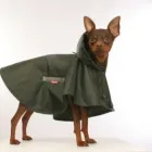 Business 36 image PETSUPPLYUK.COM Pets & Animals in Newport Nwp