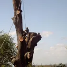 Business 1 image PHILLIPS FLOWERS Florists in Newry Co