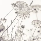 Business 17 image PHOTOGRAPHY BY JOEL MCDERMOTT Wedding Services in ILFRACOMBE De