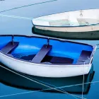 Business 20 image PHOTOGRAPHY BY JOEL MCDERMOTT Wedding Services in ILFRACOMBE De