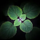 Business 41 image PHOTOGRAPHY BY JOEL MCDERMOTT Wedding Services in ILFRACOMBE De