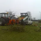 Business 1 image PHUMO LTD Internet Web Design & Development in Stockton-On-Tees Cl