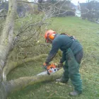 Business 2 image PHUMO LTD Internet Web Design & Development in Stockton-On-Tees Cl