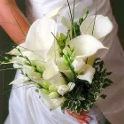 Business 13 image PILKINGTON SOLICITORS Solicitors in Liverpool Me