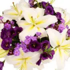 Business 2 image PILKINGTON SOLICITORS Solicitors in Liverpool Me