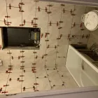 Business 9 image PIMLICO-CONSTRUCTION LTD Plumbers in Dagenham Gr