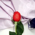 Business 5 image PIMP MY ROSE Wedding Services in Stoke-On-Trent Sts