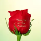 Business 11 image PIMP MY ROSE Wedding Services in Stoke-On-Trent Sts