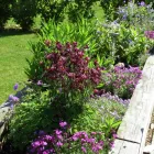 Business 6 image PINEWOOD NURSING HOME Nursing Homes in Chichester We