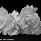 Business 3 image PORTHKERRY DENTAL CENTRE Dentists in Barry So