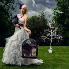 Business 2 image PORTHKERRY DENTAL CENTRE Dentists in Barry So