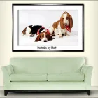 Business 8 image PORTRAITS BY HART General Photographers in Stourbridge We