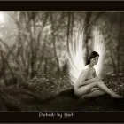 Business 2 image PORTRAITS BY HART General Photographers in Stourbridge We