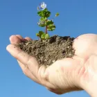 Business 2 image PRECISION TREE SERVICES LTD Tree Surgeons in Stockton-On-Tees Cl