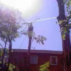 Business 2 image PRESTIGE TREE AND GROUNDCARE LTD Landscapers in Kilmarnock Ay