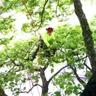 Business 4 image PRESTIGE TREE AND GROUNDCARE LTD Landscapers in Kilmarnock Ay