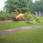 Business 1 image PRESTIGE TREE AND GROUNDCARE LTD Landscapers in Kilmarnock Ay