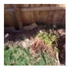 Business 8 image PRESTIGE TREE & LANDSCAPING Tree Services in Wingate Co