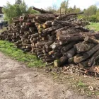 Business 23 image PRESTIGE TREE & LANDSCAPING Tree Services in Wingate Co