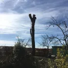 Business 30 image PRESTIGE TREE & LANDSCAPING Tree Services in Wingate Co