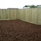 Business 48 image PRESTIGE TREE & LANDSCAPING Tree Services in Wingate Co