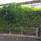 Business 67 image PRESTIGE TREE & LANDSCAPING Tree Services in Wingate Co