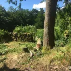 Business 68 image PRESTIGE TREE & LANDSCAPING Tree Services in Wingate Co