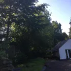 Business 69 image PRESTIGE TREE & LANDSCAPING Tree Services in Wingate Co