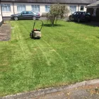 Business 75 image PRESTIGE TREE & LANDSCAPING Tree Services in Wingate Co
