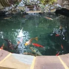 Business 55 image PRO PAVING Paving & Driveway Contractors in Southend On Sea Es