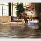 Business 3 image PROBUILD CONTRACTORS NETWORK Fire & Water Damage Restoration in Chelmsford Es