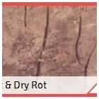 Business 1 image PROPOTEC LTD Wood Treatment & Preservation in Burwell Ca