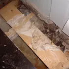 Business 2 image PROTECTAHOME LTD Damp Proofing & Control in Bristol Av