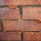 Business 4 image PROTECTAHOME LTD Damp Proofing & Control in Bristol Av