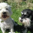 Business 10 image PROVIDENT PERSONAL CREDIT LTD Loans in CANNOCK St