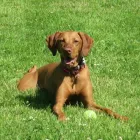 Business 17 image PROVIDENT PERSONAL CREDIT LTD Loans in CANNOCK St