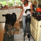 Business 1 image PROVIDENT PERSONAL CREDIT LTD Loans in CANNOCK St