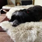 Business 4 image PROVIDENT PERSONAL CREDIT LTD Loans in CANNOCK St