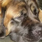 Business 9 image PROVIDENT PERSONAL CREDIT LTD Loans in CANNOCK St