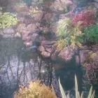 Business 6 image PURNELLS PROPERTY MAINTENANCE General Contractors in Newport Gw