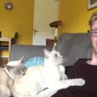 Business 1 image PURRR-ZAZZ Pets & Animals in Surbiton Su