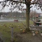 Business 2 image R.G PRODUCTION Wedding Services in Doncaster So