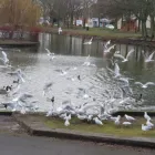 Business 6 image R.G PRODUCTION Wedding Services in Doncaster So