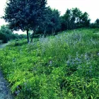 Business 8 image R.G PRODUCTION Wedding Services in Doncaster So