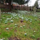 Business 12 image R.G PRODUCTION Wedding Services in Doncaster So