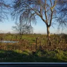 Business 13 image R.G PRODUCTION Wedding Services in Doncaster So