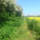 Business 3 image RACQUET CLUB Hotels & Inns in Liverpool Me