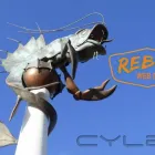 Business 2 image REBEL WEB DESIGN Web Design in Plymouth De