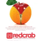 Business 4 image RED CRAB CREATIVE Web Developers in Bedford Be