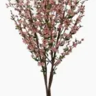 Business 9 image RED HOT PLANTS Trees & Shrubs in Garstang La